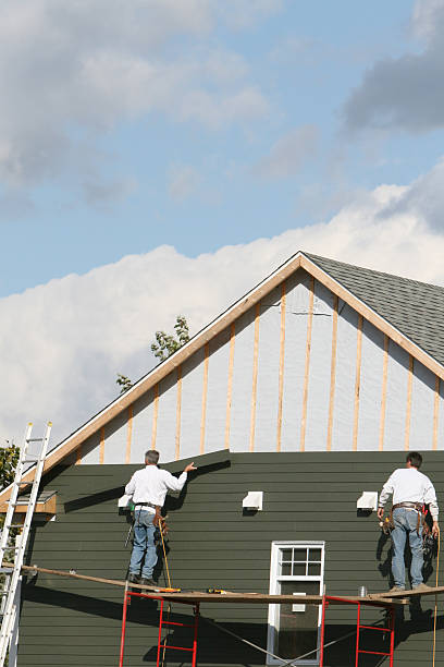 Trusted Candlewick Lake, IL Siding Services Experts